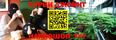 прущие грибы Тара