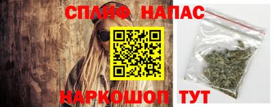 прущие грибы Тара