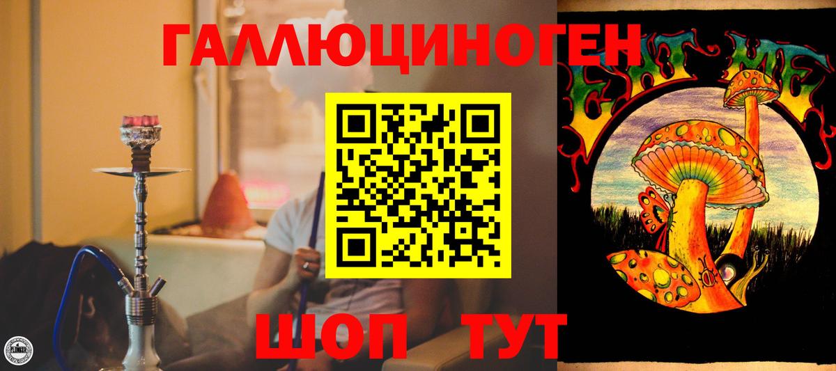 Галлюциногенные грибы Psilocybine cubensis  Вход с VPN  где продают наркотики  Нововоронеж 